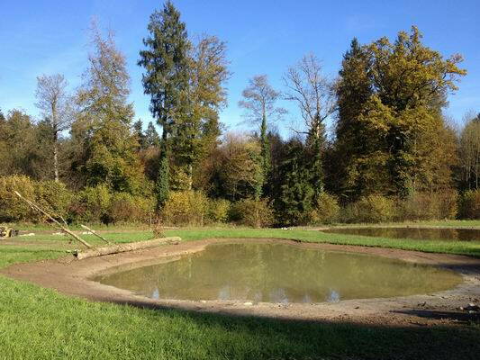 1008-10.jpg 1008-10.jpg