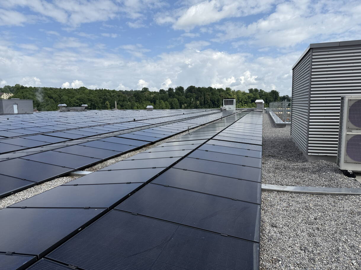 25-06-05 Zoom: 25-06-05